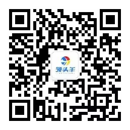 领头羊公众号