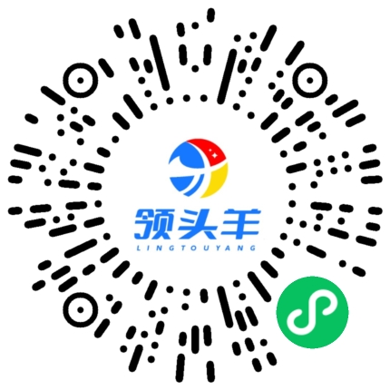 领头羊小程序